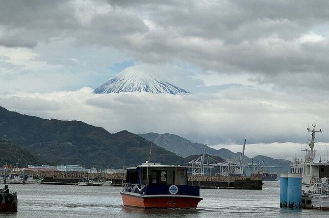 One Day Private Tour Around Shimizu Port for Cruise Passengers - Recap