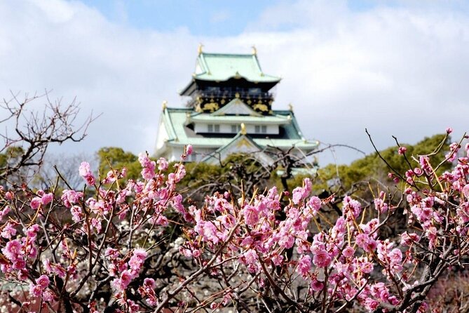 Osaka Cherry Blossom Tour With a Local: 100% Personalized Private - Accessibility and Customization Options