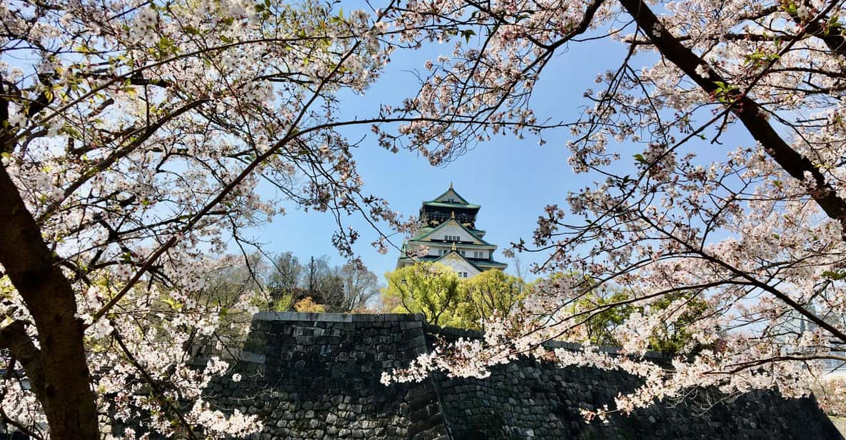 Osaka: Half-Day Private Guided Tour of the Castle - Booking Information