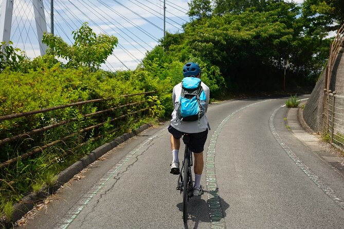 Photogenic Shimanami Kaido Private Cycling Tours - Recap