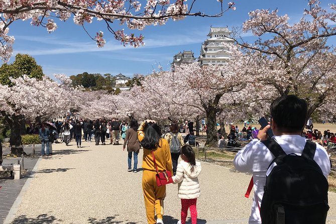 Private & Custom KOBE (HIMEJI CASTLE) Day Tour by Land Rover Discovery 2018 - Customer Reviews