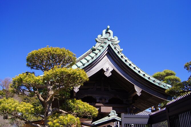 Private Kamakura and Enoshima Day Tour From Tokyo - Recap