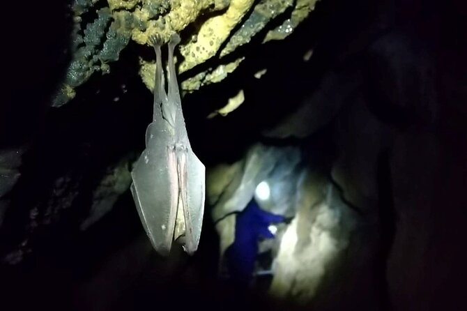 Private Ninja Training in a Cave in Hidaka - Directions