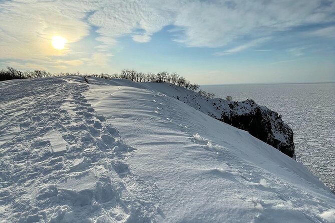 Private Snow Shoe Tour in Shiretoko National Park - Customer Reviews