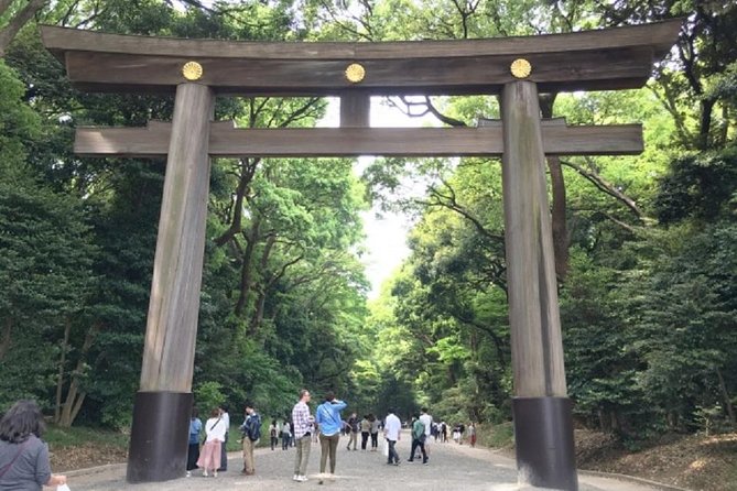 Private Tokyo Custom Walking Tour With a Water Bus Ride - Accessibility and Participants