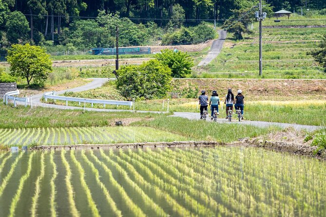 Rural Villages & Brewery Town: Private 1-Day Cycling Near Kyoto - Recap