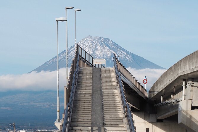 Scenic Mt.Fuji and Hakone : Owakudani , Skywalk & Yumeno Ohashi - Recap