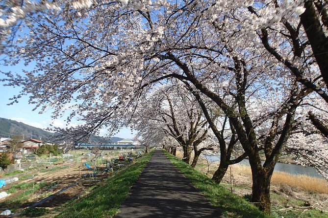 Short Morning Cycling Tour in Hida - Tour Exclusions