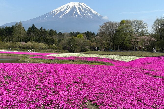 Shuttle Van Tour Mt.Fuji From Tokyo and Yokohama - Frequently Asked Questions