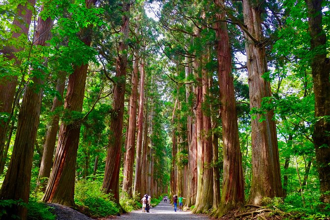 Togakushi Shrine Hiking Trails Tour in Nagano - Cancellation Policy