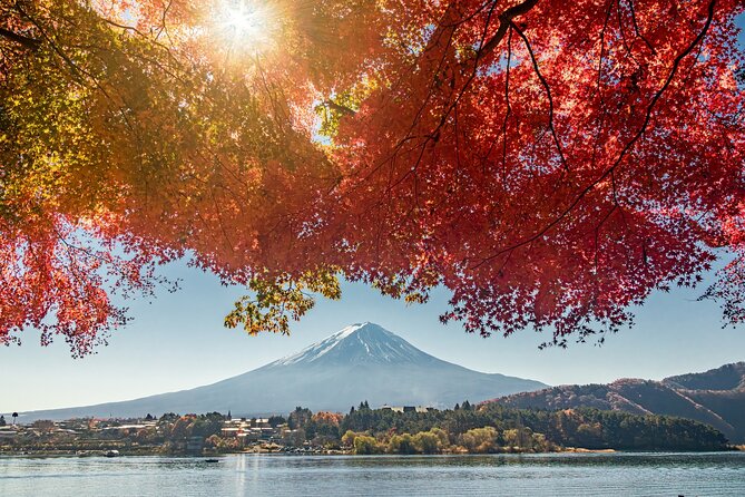 Tokyo: Hakone and Owakudani and Lake Kawaguchi Day Tour - Additional Info and Booking Details