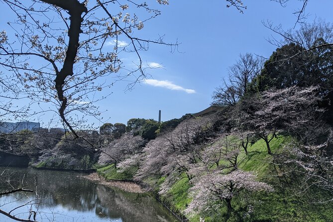 Tokyo Imperial Palace Higashi Gyoen Wellness Tour - Recap