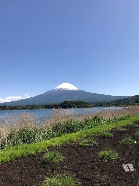 Tokyo: Mt Fuji Area Guided Tour With Traditional Lunch - Meeting Points