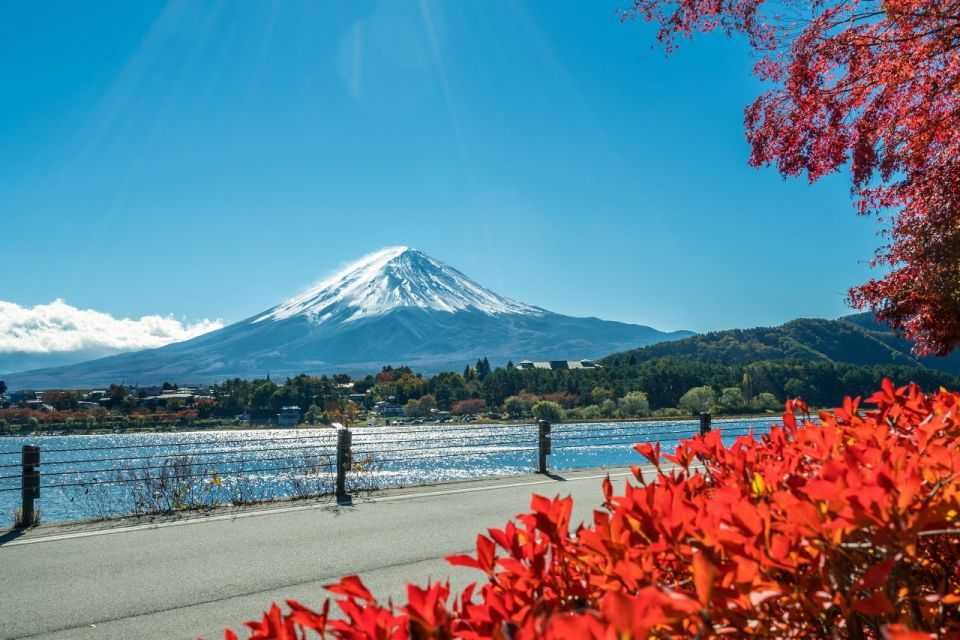 Tokyo: Mt. Fuji, Lake Kawaguchi,Lake Yamanaka,Onsen Day Tour - Conclusion