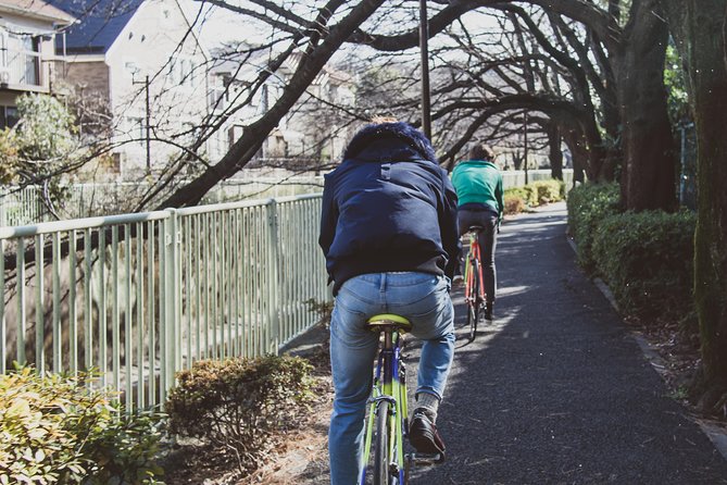 Tokyo West-Side Classic Road Bike Tour - Recap