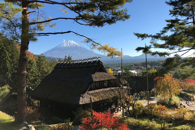 Tour Around Mount Fuji Group From 2 People ¥32,000 - Duration of Tour