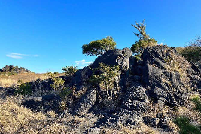 Trekking Volcanic Island in Izu Oshima - Recap