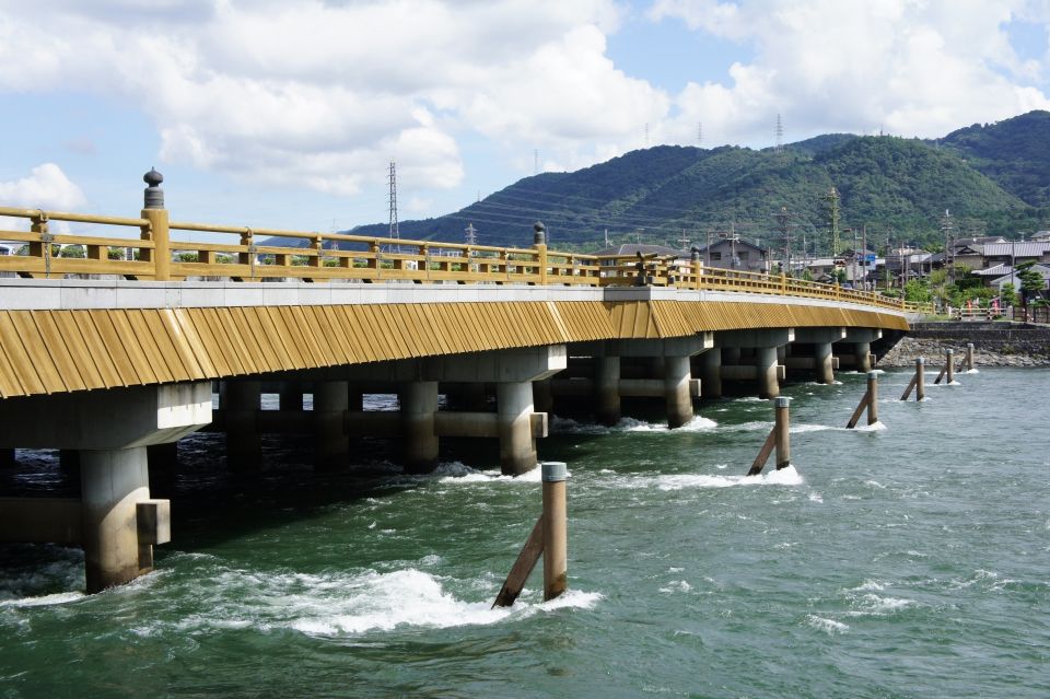 Uji: Green Tea Tour With Byodoin and Koshoji Temple Visits - Important Information for Tour Participants