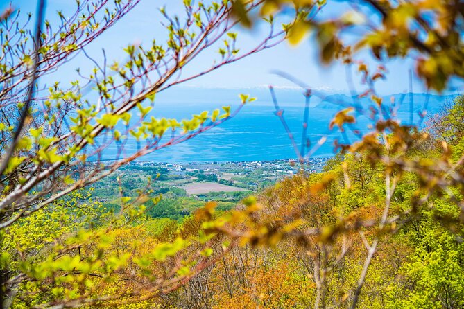 Usuzan Volcano Guided Hiking Private Tour - Booking Information