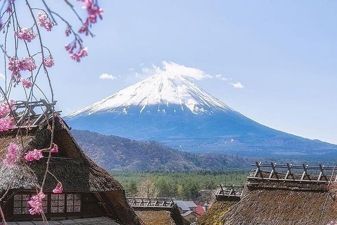 1 Day Fully Customized Tour to Mt Fuji With English & Hindi Speak - Recap