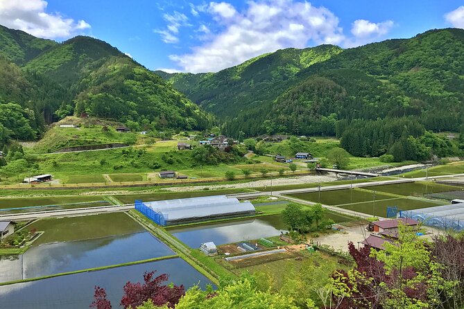 1-Day Rural E-Bike Tour in Hida - Customer Reviews