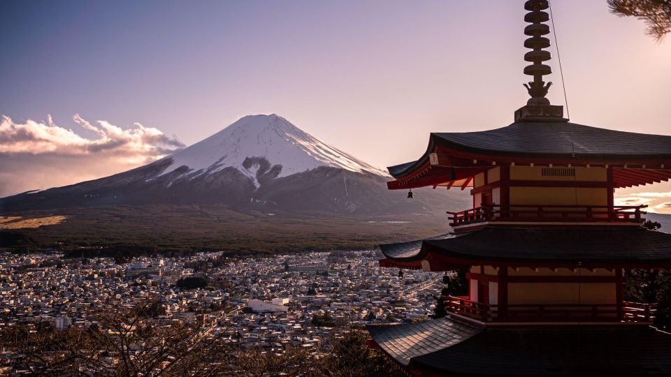 1-Day Trip: Mt Fuji + Kawaguchi Lake Area - Important Reminders