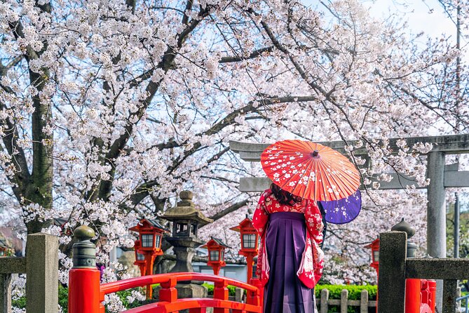 1-Full Day Private Experience of Culture and History of Kyoto for 1 Day Visitors - Recap