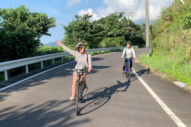 4 Hour Guided Cycling Experience in Yakushima - Price and Booking Information