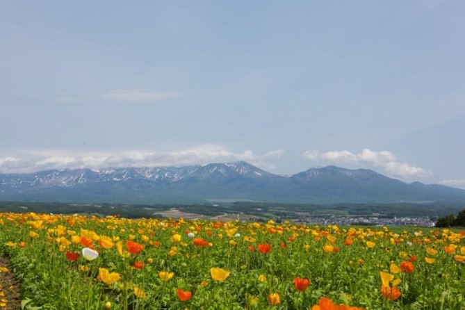 A Relaxing Day for Furano, Biei Blue Pond& Local Curry Lunch in Hokkaido! - Frequently Asked Questions