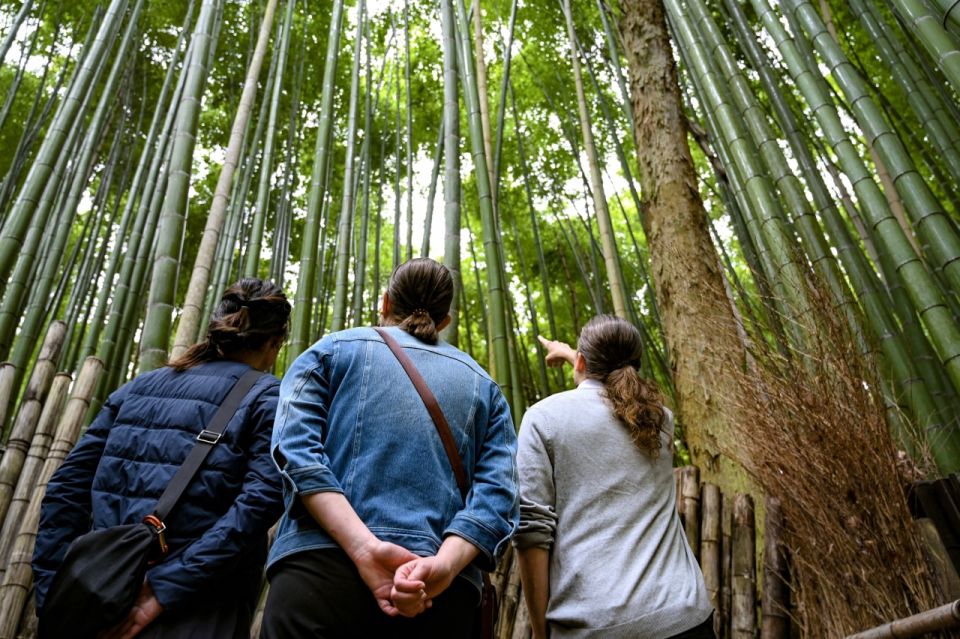 Arashiyama: Bamboo Grove and Temple Tour - Frequently Asked Questions