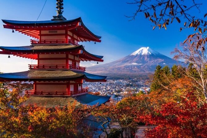 Best Price for 2-6 People! Mt Fuji & Natural Water Private Tour - Frequently Asked Questions