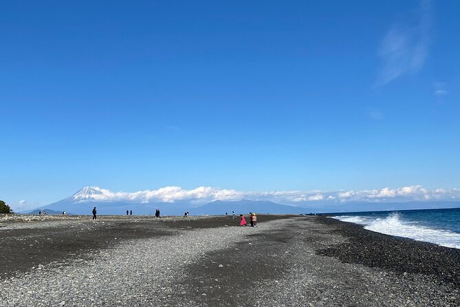 Classic Shizuoka With Mt.Fuji Viewing 1 Day Private Tour - Recommendations