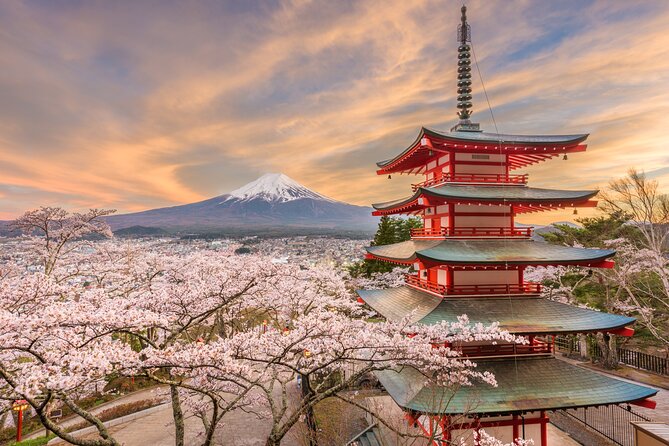 Custom 2-Day Tour: Mt Fuji and Tokyo Private Car & English Driver - Tips & Recommendations