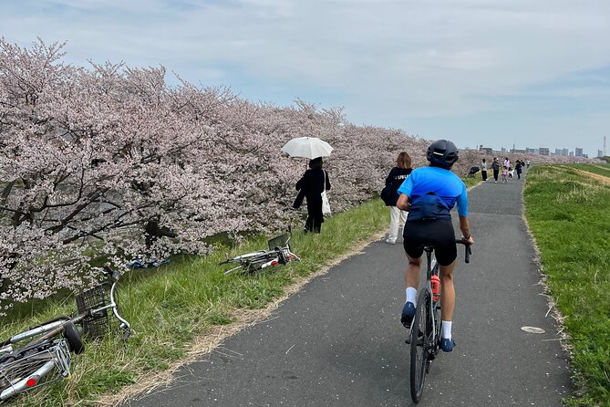 English/Italian Guided Cycling Tour in Tokyo(With a Rental Bike) - Recap