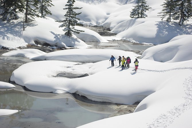 Fluffy New Snow and the Earth Beating, Goshougake Oyunuma Snowshoeing Tour - Frequently Asked Questions