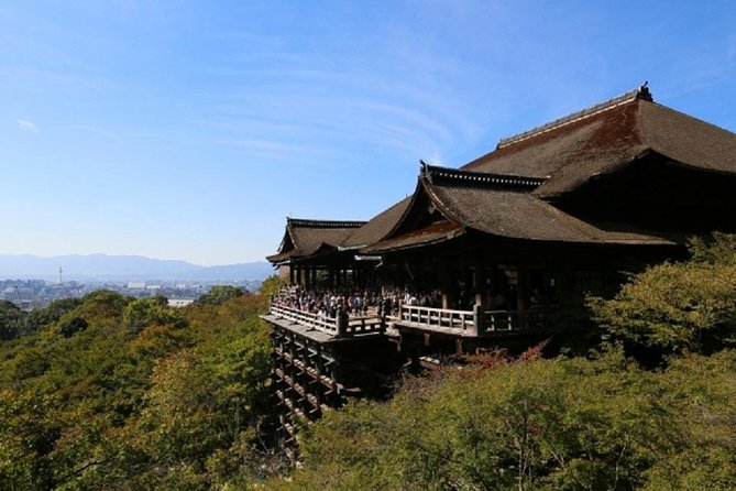 Free Choice of Itineraries Kyoto Private Tour - Unique Selling Points and Operations