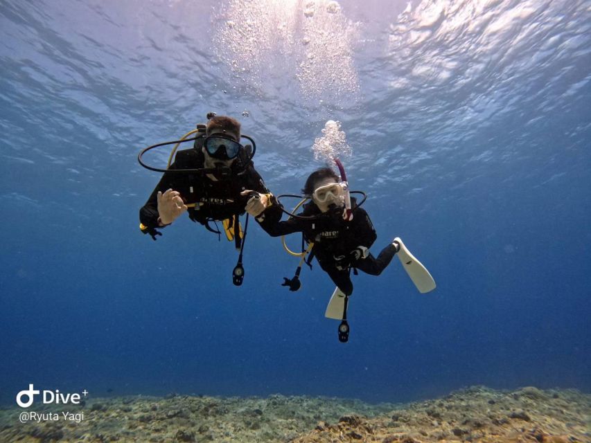 From Naha Scuba Diving Trip in Kerama(For Certified Divers) - Customer Reviews