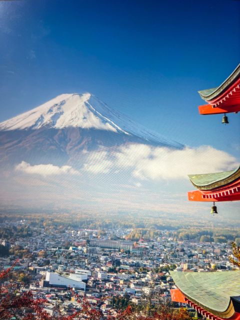 From Tokyo/Yokohama: Mount Fuji Private Tour With Pickup - Additional Options and Recommendations