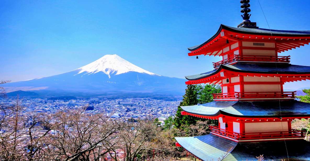 From Tokyo/Yokohama: Private Day Trip to Mt Fuji and Hakone - Booking and Pricing Information