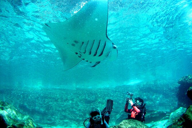 Full Day Guided Boat 2diving in Kerama Islands（License Required） - End Point