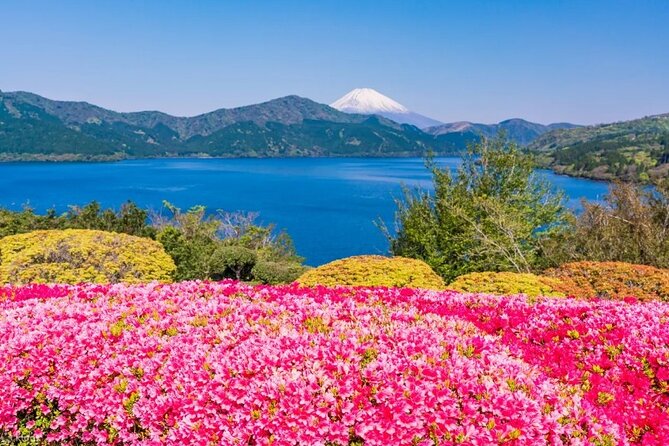 Full Day Guided Trip to Mt. Fuji and Hakone From Tokyo - Refund and Cancellation Policy