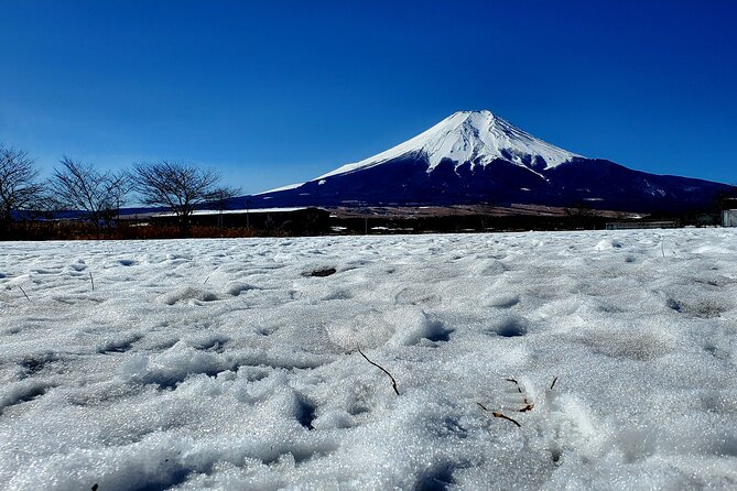 Full Day Private Guided Tour Mt. Fuji and Hakone - Recap