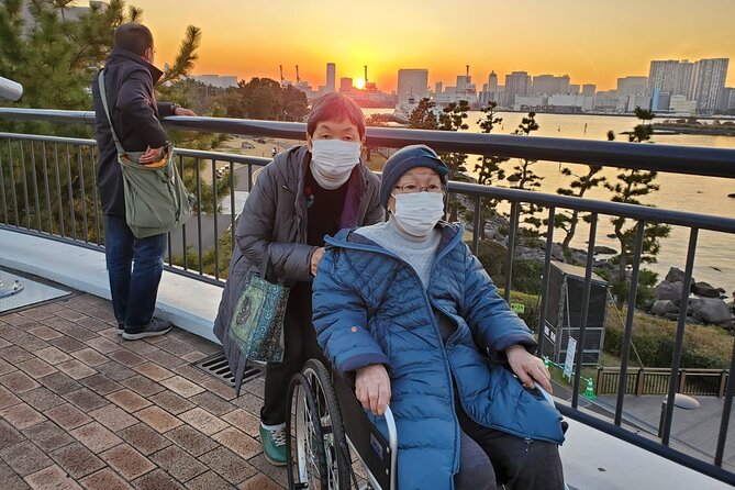 Full Day Private Tokyo Tour for Wheelchair Users - Group Size