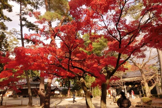 Full Day Private Walking Day Tour in Kyoto With Tea - Tea Experience