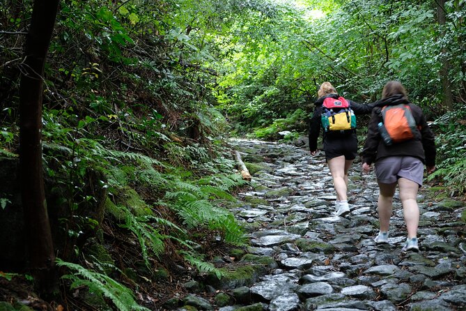 Half Day Forest Bathing in Hakone Geopark - Frequently Asked Questions