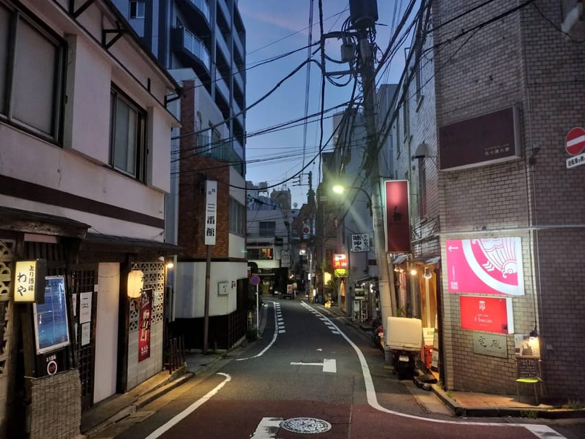 Hidden Shinjuku: Araki-chos Secret Culinary Walk - Conclusion