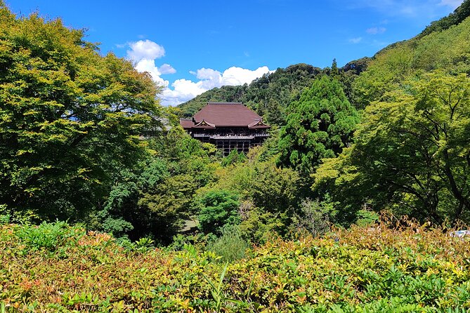 Hike Through Kyotos Best Tourist Spots - Recap