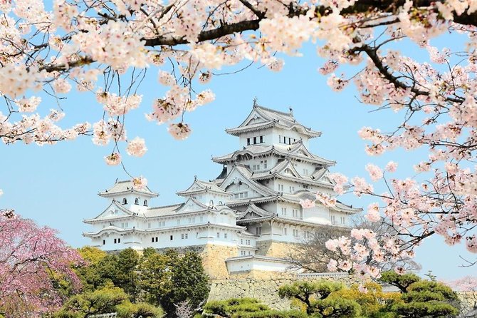 Himeji Half-Day Private Tour With Government-Licensed Guide - Recap