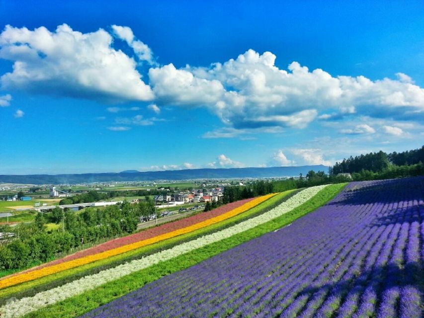 Hokkaido: Biei Blue Pond and Furano Flower Farm Day Trip - Recap