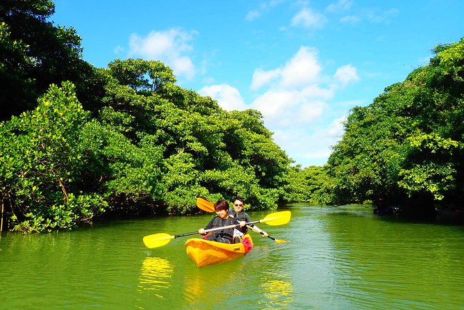 [Ishigaki]Mangrove SUP/Canoe Tour - Frequently Asked Questions